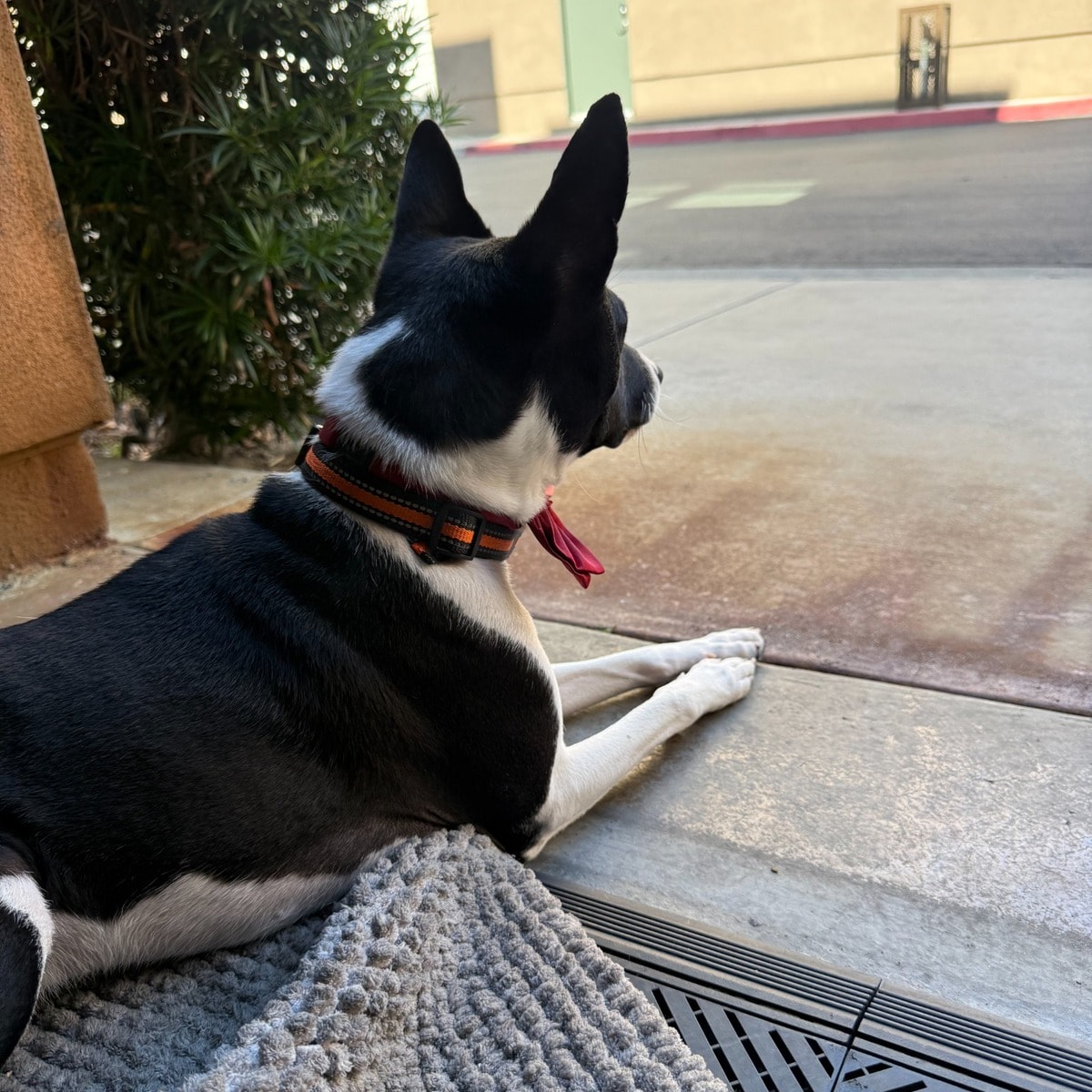 Monitoring incoming traffic.