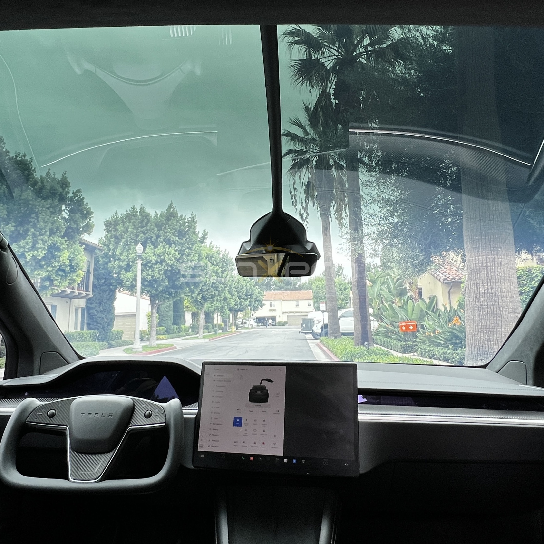 Tesla — Dashboard Palm Tree View