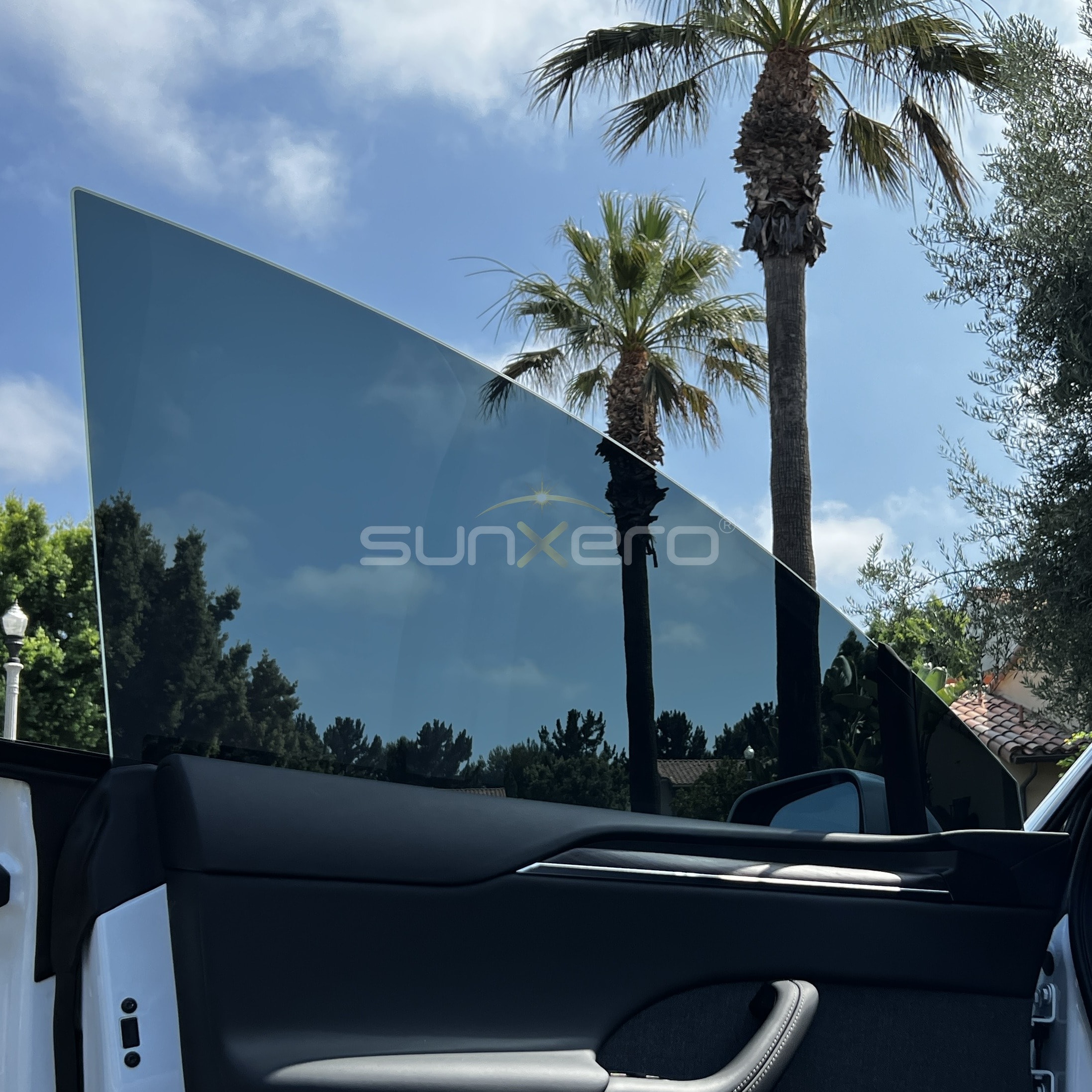 Convertible — Palm Trees Sky