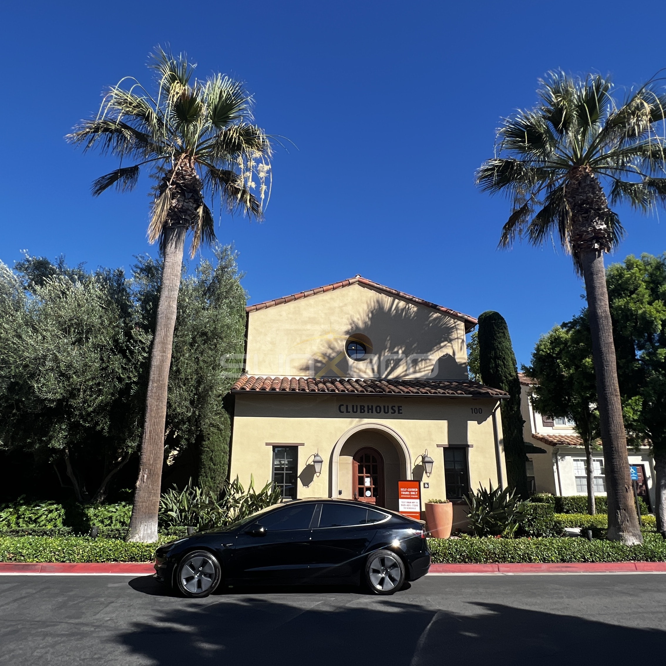 Black Car — Clubhouse Palm Trees