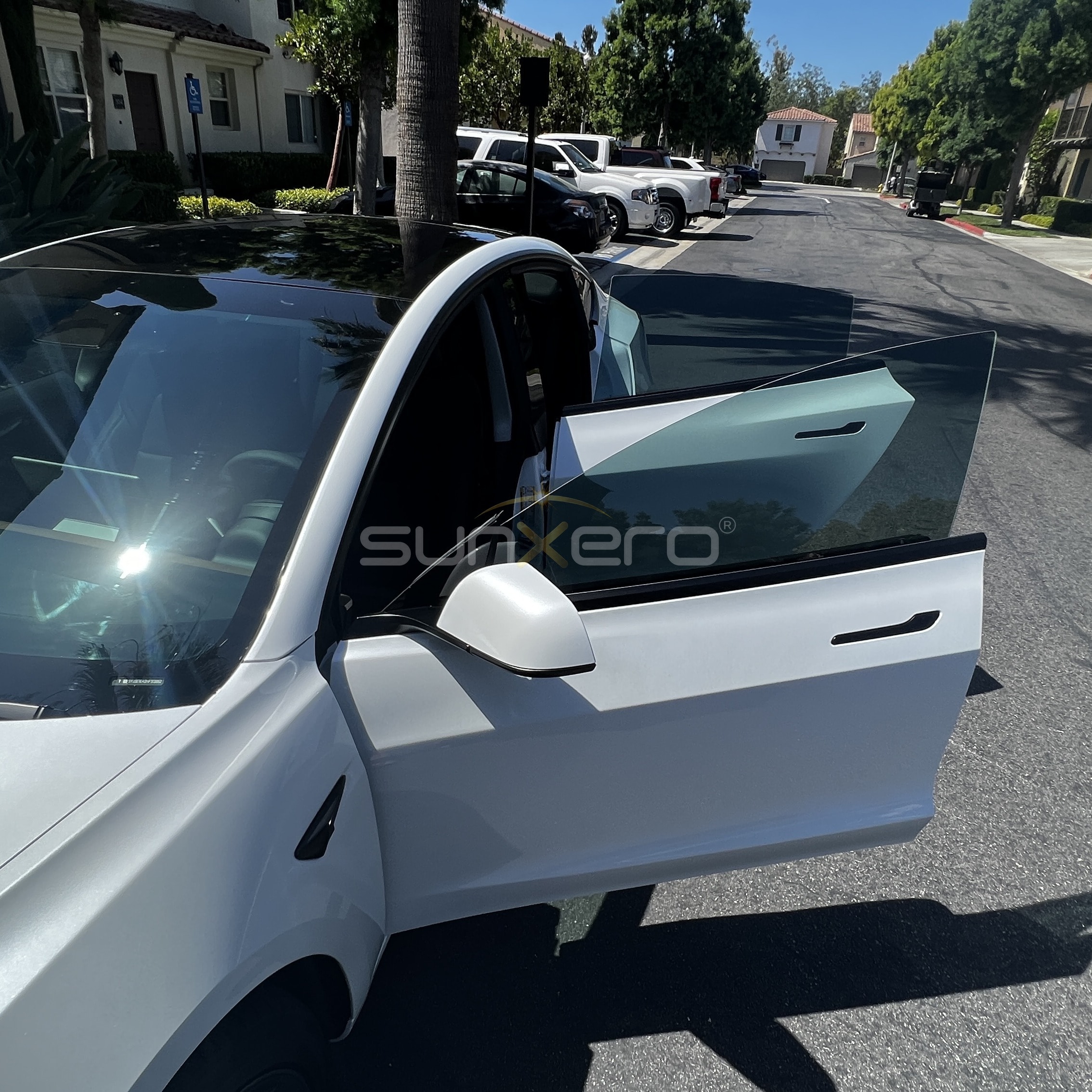Car Window — Palm Trees