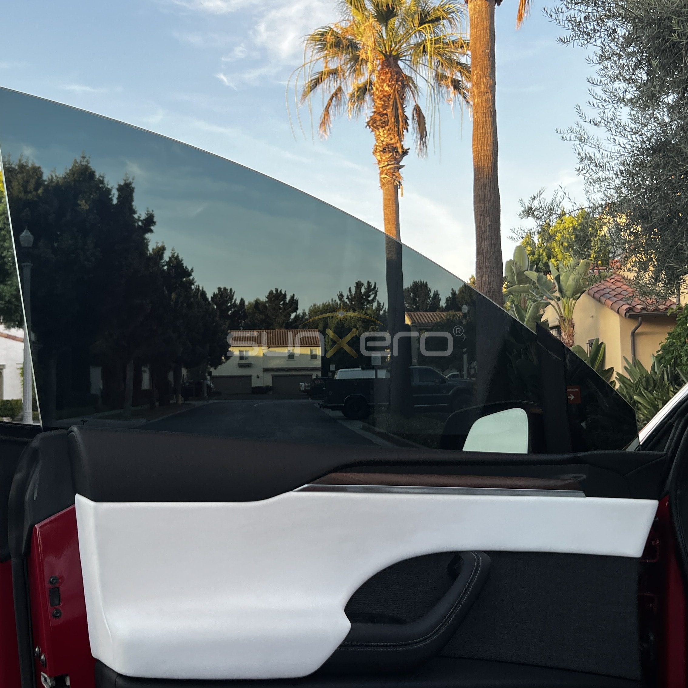 Pickup Truck Bed — Palm Trees Driveway
