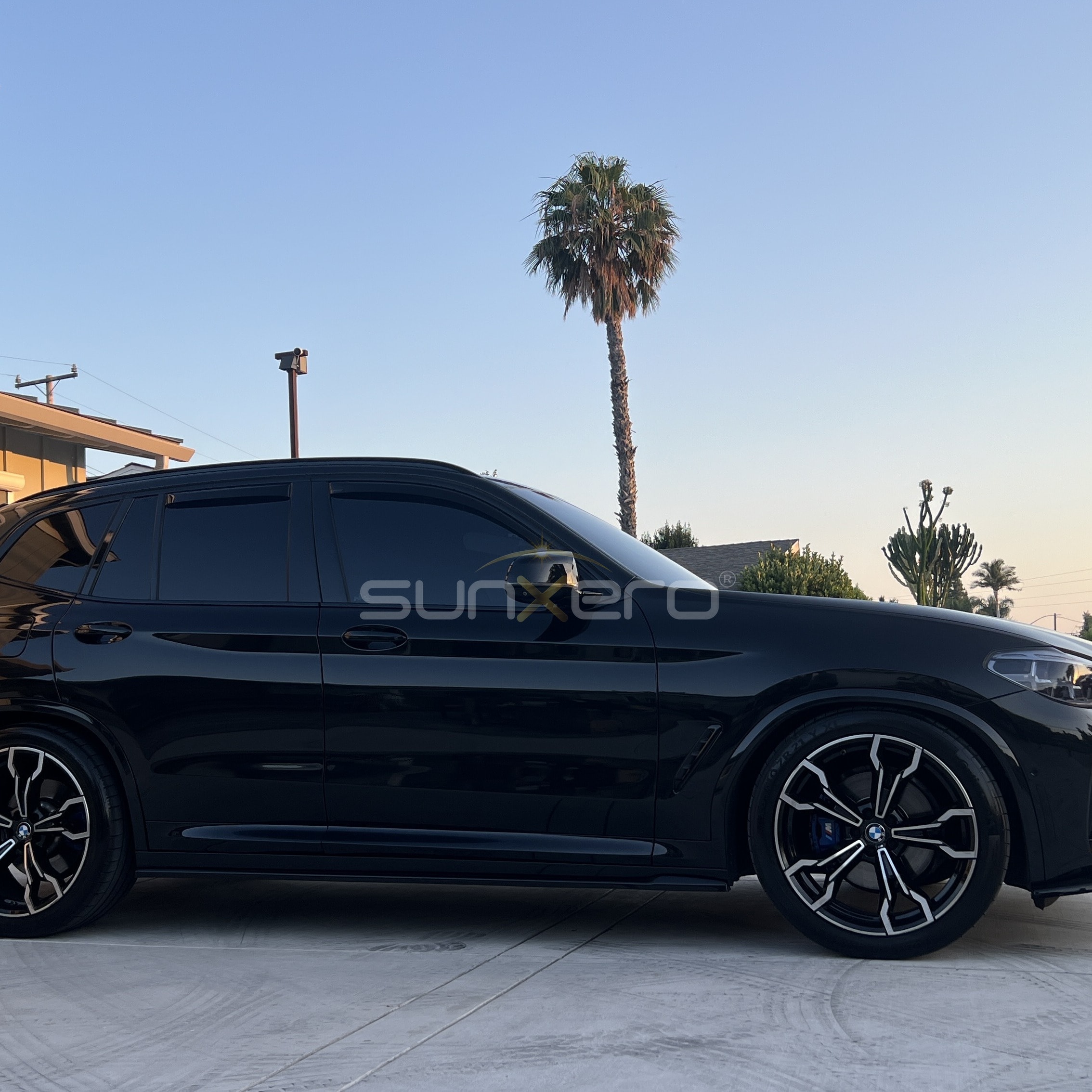 Black SUV — Palm Tree Desert